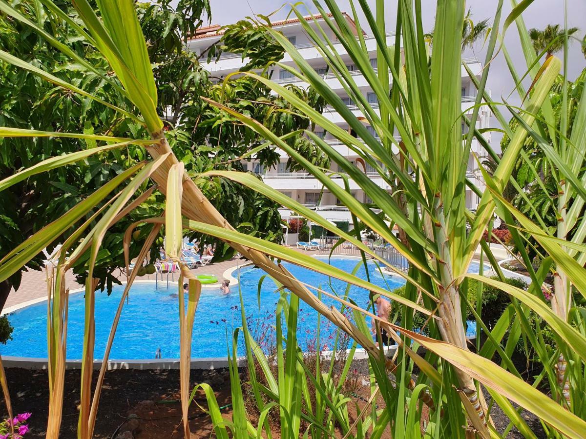 Spectacular Renovated Apartment, 5 Min To Camison Beach, With Aircon Arona  Εξωτερικό φωτογραφία